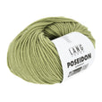 Lang Yarns Poseidon yarn, Lime, colour 0044, ball photograph