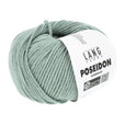 Lang Yarns Poseidon yarn, Sage, colour 0092, ball photograph